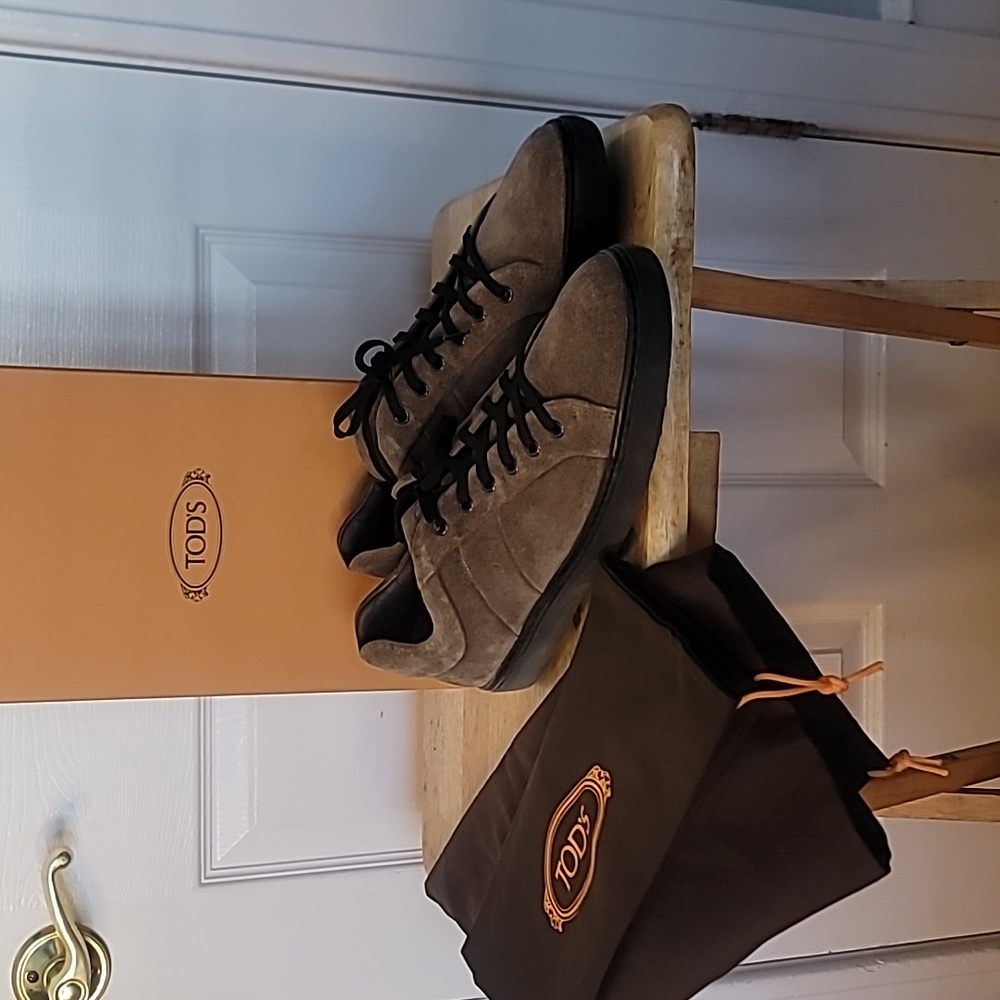 Tods sneakers